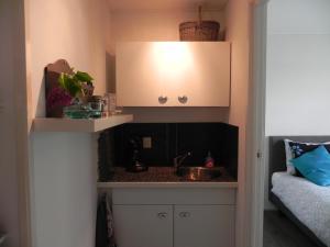 Breezand阿蓬斯培仁民宿的一间小厨房,内设一个水槽