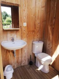 Marmont-PachasDomaine de Cavailla的一间带卫生间和水槽的浴室