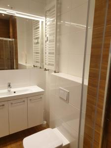 大波兰地区希罗达Maly apartament w zieleni blisko jeziora的一间带卫生间、水槽和镜子的浴室