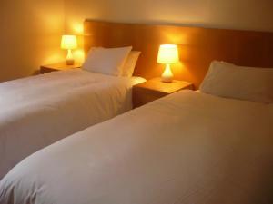 伯明翰Tri-Star Hotel的配有2盏灯的酒店客房的2张床