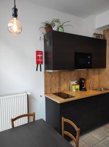 梅赫伦B&B In den Roden Schilt的厨房配有黑色橱柜和带水槽的桌子