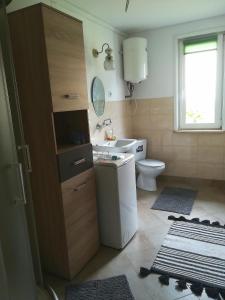 卢布林地区托马舒夫Domek na wsi的一间带卫生间和水槽的浴室