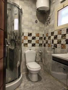 阿哈达Seven Gardens Pro的浴室配有卫生间、淋浴和盥洗盆。
