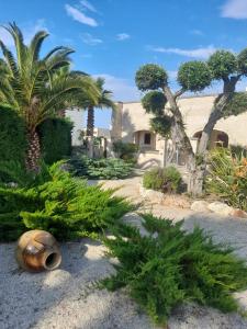 圣维托诺曼欧亚希德尔维希尔度假酒店的一座种有棕榈树的花园及一座建筑