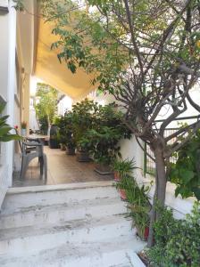 雅典Alimos Apartment的一座庭院,在一座建筑里种着树和楼梯