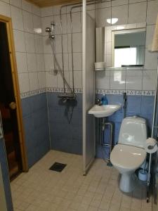 库萨莫Huoneisto Villa Kaitera的一间带卫生间和水槽的浴室