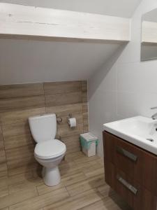 KarsinPAKLADA 3 Pokój typu studio的一间带卫生间和水槽的浴室