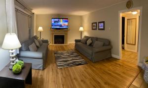 金卡丁Lakeview Motel & Cottage的客厅配有2张沙发和1台平面电视