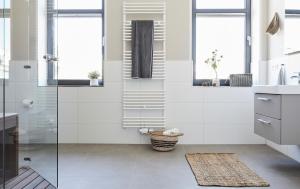 奥斯特巴德·哥伦Haus Ostsee的浴室拥有白色的墙壁和玻璃淋浴间。