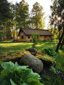 帕普Pape holiday home的小木屋,以岩石和植物为背景