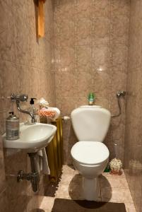 克拉科夫Apartament Parkowy的一间带卫生间和水槽的浴室
