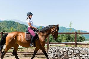 BesqaynarOi-Qaragai Mountain Resort的女人骑着棕色的马
