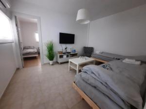 阿拉德Akhva Accommodation Unit-אחווה יחידת אירוח的一间卧室配有一张床和一台电视。
