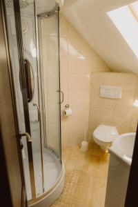 巴克乌Vila Alsace Podu' cu Lanturi的带淋浴和卫生间的浴室