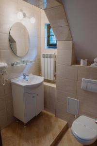 巴克乌Vila Alsace Podu' cu Lanturi的一间带水槽和卫生间的浴室