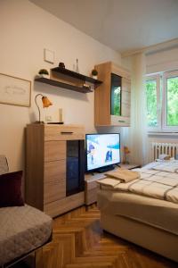 奥西耶克Studio Apartment Vijenac的一间卧室设有平面电视和一张床。