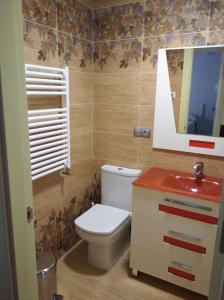 阿里纳斯·德·卡伯瑞勒斯Las Cabraliegas 2的一间带卫生间、水槽和镜子的浴室
