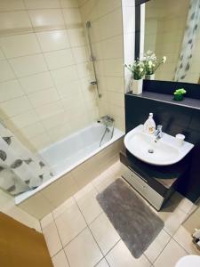 什平德莱鲁夫姆林Medvědín Apartmán 106的浴室配有盥洗盆、浴缸和盥洗盆