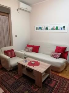 弗尔尼亚奇卡矿泉镇Apartman Djokovic的带沙发和咖啡桌的客厅
