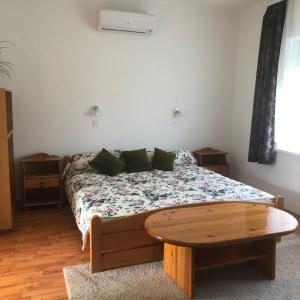 尼赖吉哈佐皮罗斯卡温蒂加斯公寓的一间卧室配有一张床和一张木桌