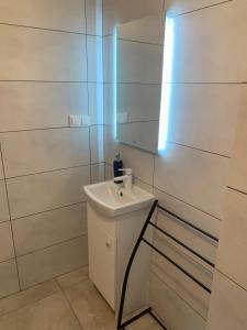 库瑞尼卡慕斯卡Domek Pensjonat Syrena的白色的浴室设有水槽和镜子