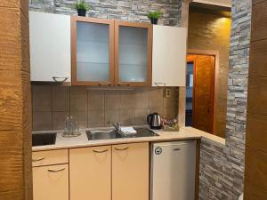 波罗维茨Deluxe 217的厨房配有棕色橱柜和水槽