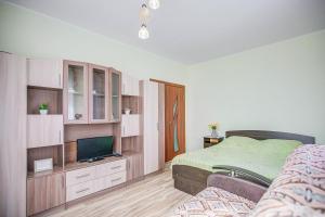沃罗涅什Apartment on Leninskaya的一间卧室配有一张床和一台平面电视