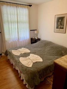 彼得罗波利斯Fachoalto Budget的一间卧室配有一张大床和毛巾
