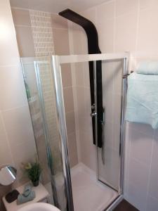 拉辛赫Wild Atlantic Lodge Bed & Breakfast的浴室里设有玻璃门淋浴
