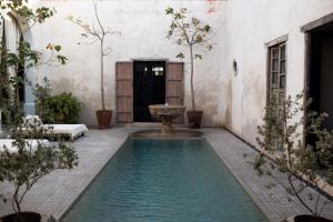 梅里达Casa Olivia的庭院中央的游泳池,设有喷泉
