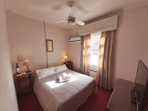 门多萨阿里奥斯托酒店的酒店客房设有床和窗户。