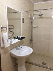 奇姆肯特Park Hotel al Bustan的一间带水槽和淋浴的浴室