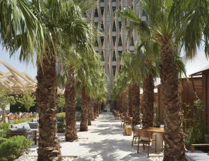 科威特科威特布尔阿沙哑四季酒店 的楼前一排棕榈树