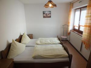 SeebarnPension & Reitschule Fuchsenhof的带窗户的客房内设有两张单人床。