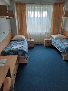 克拉科夫迪斯扎克鲁纳米酒店的酒店客房配有两张床和一张书桌