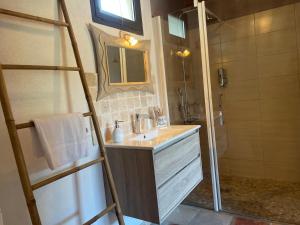 BastelicacciaL'ALIVETU, Chambres d'hôtes的一间带水槽、淋浴和镜子的浴室