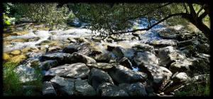 GunsbachMobil-home Beau Rivage的一条有岩石和树的溪流