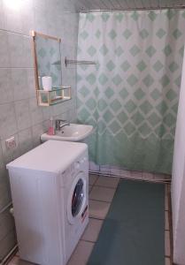 SzackЦипель 1的一间带洗衣机和水槽的浴室