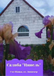 SzackЦипель 1的前面有紫色花的房屋