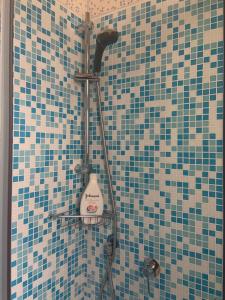 威尼斯阿尔奇的旅馆的浴室设有蓝色和棕色瓷砖淋浴。