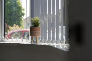 RiscaRisca Retreat的坐在窗台上的盆栽植物