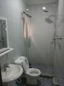 Room in Lodge - Lois Hotels Ltd Makurdi的一间浴室