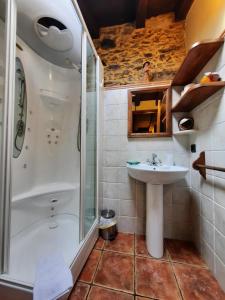 圣埃乌拉利亚德奥斯科斯Casa Viduedo的一间带水槽和淋浴的浴室