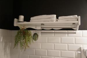 拉科鲁尼亚Apartamento Acogedor en la Coruña的浴室设有毛巾架和植物