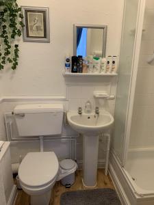 布里德灵顿The George Guest House的一间带卫生间和水槽的小浴室
