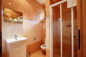 上洛姆纳Penzion Bawaria的浴室配有卫生间、盥洗盆和淋浴。