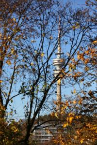 慕尼黑商务套房酒店的透过树林欣赏艾菲尔铁塔的景色