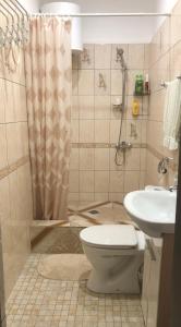 加格拉Pod evkaliptom Apartment的带淋浴、卫生间和盥洗盆的浴室
