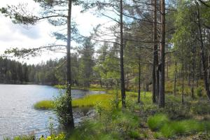 菲利普斯塔德Cozy Lodge in Värmland Sweden的享有树木和水景