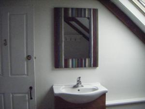 普罗温斯敦莫菲特之家宾馆的浴室设有水槽和墙上的镜子